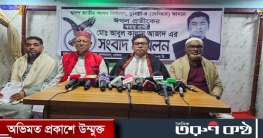 নির্বাচনে সহিংসতার আশঙ্কা স্বতন্ত্র প্রার্থীর