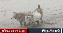 সূর্যের দেখা নেই, ঠান্ডা-কুয়াশায় কাবু কুড়িগ্রামের মানুষ