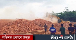 মনোহরগঞ্জে গুড়িয়ে দেয়া হলো ইটভাটা