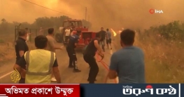 তুরস্কে দ্বিতীয় দিনে ভয়াবহ দাবানল