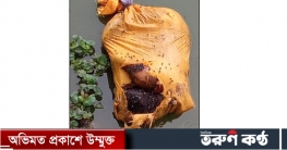 কালীগঞ্জে পুকুর থেকে শিশুর বস্তাবন্দি লাশ উদ্ধার কালীগঞ্জে পুকুর থেকে শিশুর বস্তাবন্দি লাশ উদ্ধার