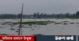 ঝিনাইগাতীতে পাহাড়ি ঢলে নিম্নাঞ্চল প্লাবিত