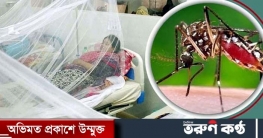 ডেঙ্গুতে ১২ জনের মৃত্যু, হাসপাতালে ভর্তি ২৪৭৫