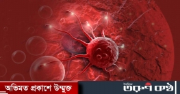কোন খাবারে বাড়তে পারে প্রস্টেট ক্যানসারের ঝুঁকি?