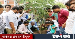 ভাসানী বিশ্ববিদ্যালয়ে শিক্ষক সমিতির বৃক্ষরোপন কর্মসূচি 