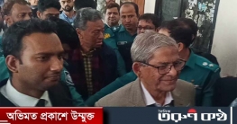 ৯ মামলায় মির্জা ফখরুলের জামিন শুনানি ৯ জানুয়ারি ৯ মামলায় মির্জা ফখরুলের জামিন শুনানি ৯ জানুয়ারি