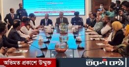 অঘটন ঘটিয়ে কেউ পালাতে পারবেন না: ইসি আলমগীর