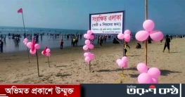 অবশেষে সৈকতে নারী-শিশুদের জন্য আলাদা জোন অবশেষে সৈকতে নারী-শিশুদের জন্য আলাদা জোন