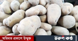 অবশেষে কমছে আলুর দাম