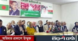 মিয়ানমারের সীমান্তরক্ষীদের বাংলাদেশে প্রবেশ নিয়ে বিএনপির সন্দেহ