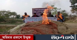 রাঙ্গাবালীতে ৫ লক্ষ টাকার অবৈধ জাল জব্দ