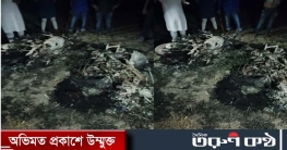 দেবিদ্বারে আনারস মার্কার সমর্থকের মটরসাইকেল পুড়িয়েছে প্রতিপক্ষ