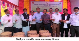 ঝিনাইদহে অভ্যন্তরিন আমন ধান সংগ্রহের উদ্বোধন