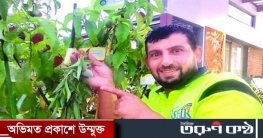 শেয়ারপ্রতি এক টাকা লভ্যাংশ দেবে সোনালী আঁশ