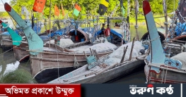 লক্ষ্মীপুরের মেঘনায় দুই মাস মাছ ধরায় নিষেধাজ্ঞা 