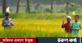 বাড়তে পারে দিনের তাপমাত্রা