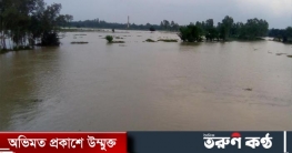 শেরপুরে পাহাড়ি ঢলে তলিয়ে গেছে এক হাজার হেক্টর জমির ধান