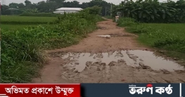 এলাকাবাসীর দুঃখ এখন জাগীর মেঘশিমুলের রাস্তা