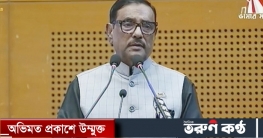 রাষ্ট্রভাষা বঙ্গবন্ধুর নেতৃত্বে, স্বীকৃতি শেখ হাসিনার হাত ধরে