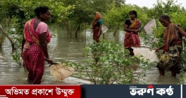 সুন্দরবনের বনজীবীদের যেন কষ্টের শেষ নেই
