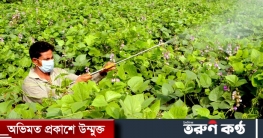 ঘন কুয়াশায় সবজি চাষিদের মাথায় হাত