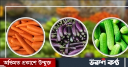 তিনগুণ বেড়েছে গাজরের দাম, কমেছে বেগুন-শসার