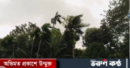 ঝড়ের সঙ্গে বৃষ্টিপাতের পূর্বাভাস