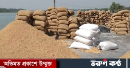 কৃষক থেকে ২৭ টাকা কেজি দরে ধান কেনা শুরু