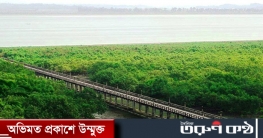 কক্সবাজারে ৪২ কোটি টাকায় বনায়ন, নতুন রূপে সাজবে হিমছড়ি