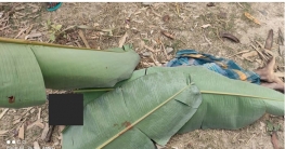 ফরিদপুরে ট্রেনে কাটা পড়ে দুই জনের মৃত্যু ফরিদপুরে ট্রেনে কাটা পড়ে দুই জনের মৃত্যু