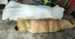 চিকিৎসার খরচ না চালাতে পারায় মা-মেয়ের বিষপান।