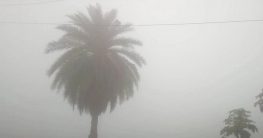 আবহাওয়ার খবর: ১১ জানুয়ারি ২০২৩