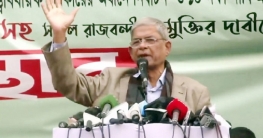 ১৬ জানুয়ারি দেশব্যাপী সমাবেশ-মিছিল করবে বিএনপি ১৬ জানুয়ারি দেশব্যাপী সমাবেশ-মিছিল করবে বিএনপি