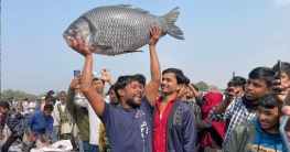 কালীগঞ্জে ঐতিহ্যবাহী মাছের মেলা অনুষ্ঠিত