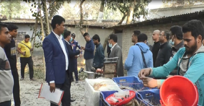 সাতক্ষীরায় চিংড়িতে জেলি পুশ, ব্যবসায়ীর জেল-জরিমানা