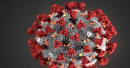 দেশে আরও ১৩ জন করোনা শনাক্ত