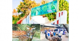 বসন্ত-ভালোবাসার মহোৎসব নাহার গাডেন বসন্ত-ভালোবাসার মহোৎসব নাহার গাডেন
