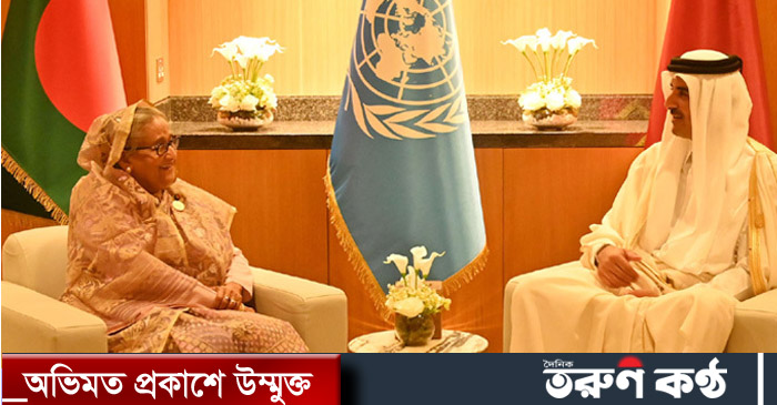 প্রধানমন্ত্রীর সঙ্গে কাতারের আমিরের বৈঠক