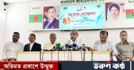 সরকার পুরোনো খেলায় মেতেছে: ফখরুল