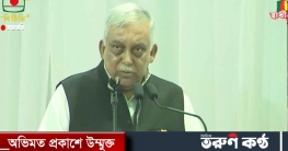 গণমানুষের আস্থার বাহিনীতে পরিণত হয়েছে র‌্যাব : স্বরাষ্ট্রমন্ত্রী