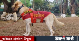 গুলিস্তানে ৩ মরদেহ উদ্ধারের জন্য পদক পেল র‍্যাবের কুকুর