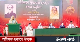 গণতান্ত্রিক ধারা অব্যাহত আছে বলেই আজকের উন্নয়ন: প্রধানমন্ত্রী