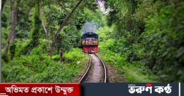 পাংশায় ট্রেনে কাটা পড়ে এক ব্যবসায়ীর মৃত্যু 