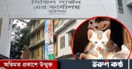 সিভিল সার্জনের চার বিড়ালের মৃত্যু, কারণ জানতে ময়নাতদন্ত