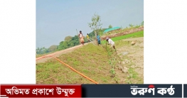 কিশোরগঞ্জে হাওরে কৃষকের ফসল রক্ষায় বাঁধ নির্মিত