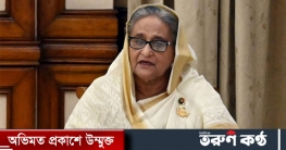 গণহত্যা দিবসের আন্তর্জাতিক স্বীকৃতি চেয়েছেন প্রধানমন্ত্রী