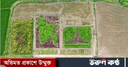 সবজির মাঠে স্মৃতিসৌধ-মানচিত্র, ধানক্ষেতে জাতীয় পতাকা সবজির মাঠে স্মৃতিসৌধ-মানচিত্র, ধানক্ষেতে জাতীয় পতাকা