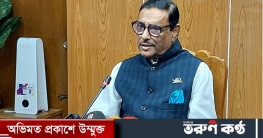 একটা দুর্ঘটনা নিয়ে একটা মন্ত্রণালয়ের বিচার করা সঠিক নয়