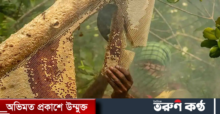 সুন্দরবনের সাতক্ষীরা রেঞ্জে মধু আহরণের আনুষ্ঠানিকভাবে উদ্বোধন করেছে বনবিভাগ। উদ্বোধনী অনুষ্ঠানে ১৫ মৌয়ালকে মধু আহরণের অনুমতিপত্র দেওয়া হয়। 