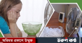প্রচণ্ড গরমে ঘর ঠান্ডা রাখবেন যেভাবে